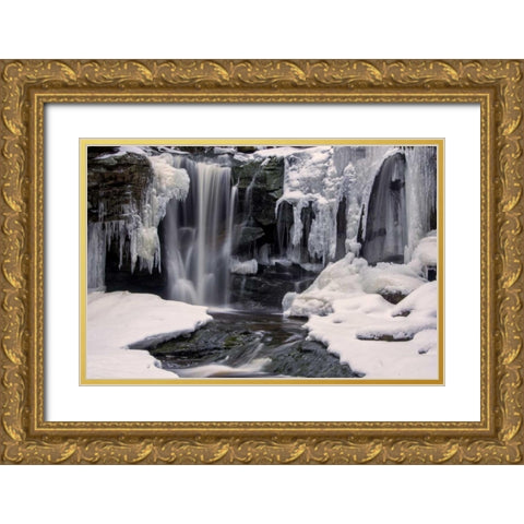 West Virginia, Blackwater Falls Frozen waterfall Gold Ornate Wood Framed Art Print with Double Matting by OBrien, Jay