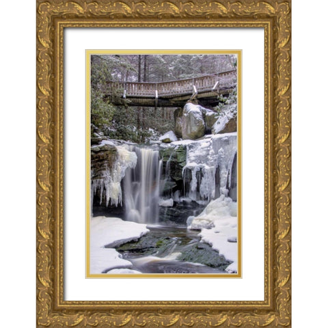 WV, Blackwater Falls SP Bridge and waterfall Gold Ornate Wood Framed Art Print with Double Matting by OBrien, Jay