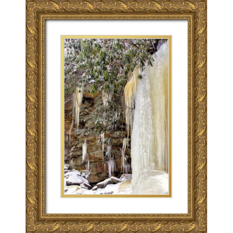 West Virginia, Blackwater Falls Frozen waterfall Gold Ornate Wood Framed Art Print with Double Matting by OBrien, Jay