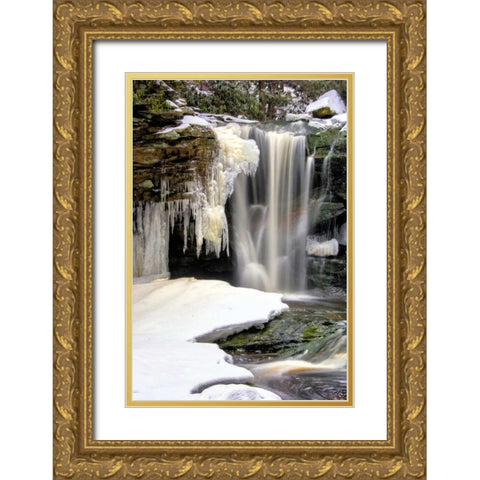 West Virginia, Blackwater Falls Frozen waterfall Gold Ornate Wood Framed Art Print with Double Matting by OBrien, Jay