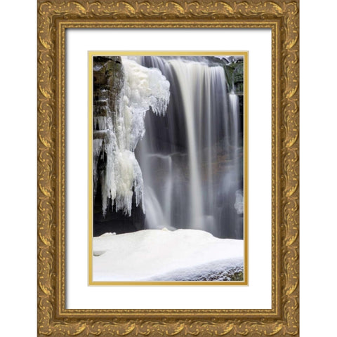 West Virginia, Blackwater Falls Frozen waterfall Gold Ornate Wood Framed Art Print with Double Matting by OBrien, Jay