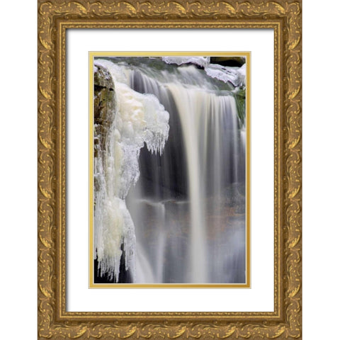 West Virginia, Blackwater Falls Frozen waterfall Gold Ornate Wood Framed Art Print with Double Matting by OBrien, Jay