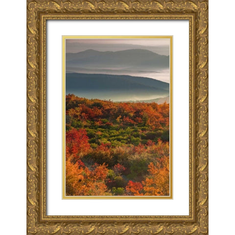 WV, Dolly Sods Wilderness Sunrise landscape Gold Ornate Wood Framed Art Print with Double Matting by OBrien, Jay