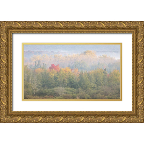 USA-West Virginia-Davis Foggy forest in fall colors Gold Ornate Wood Framed Art Print with Double Matting by Jaynes Gallery