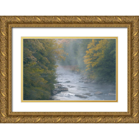USA-West Virginia-Davis Foggy stream in Blackwater State Park Gold Ornate Wood Framed Art Print with Double Matting by Jaynes Gallery