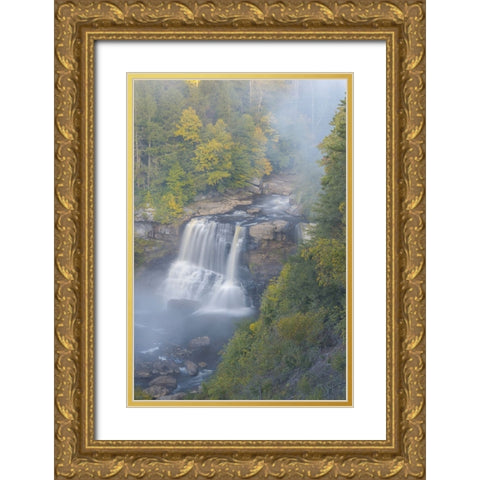 USA-West Virginia-Davis Overview of waterfall in Blackwater State Park Gold Ornate Wood Framed Art Print with Double Matting by Jaynes Gallery