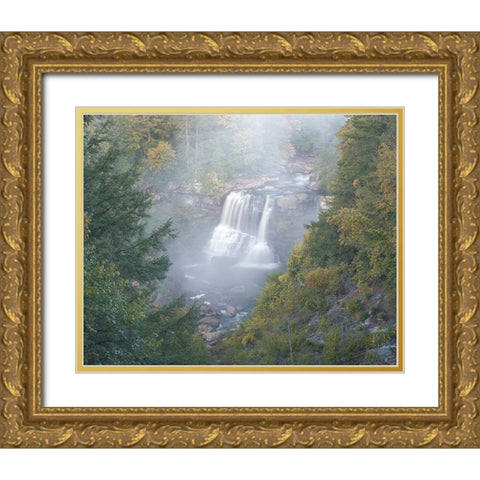 USA-West Virginia-Davis Overview of waterfall in Blackwater State Park Gold Ornate Wood Framed Art Print with Double Matting by Jaynes Gallery