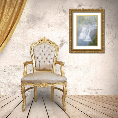 USA-West Virginia-Davis Overview of waterfall in Blackwater State Park Gold Ornate Wood Framed Art Print with Double Matting by Jaynes Gallery