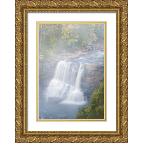 USA-West Virginia-Davis Overview of waterfall in Blackwater State Park Gold Ornate Wood Framed Art Print with Double Matting by Jaynes Gallery