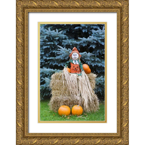 Wisconsin Autumn haystack and Halloween decor Gold Ornate Wood Framed Art Print with Double Matting by Flaherty, Dennis