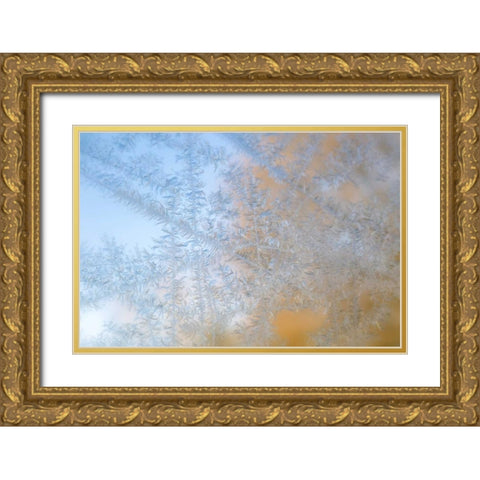 Wisconsin, Madison Frost patterns on glass Gold Ornate Wood Framed Art Print with Double Matting by Grall, Don