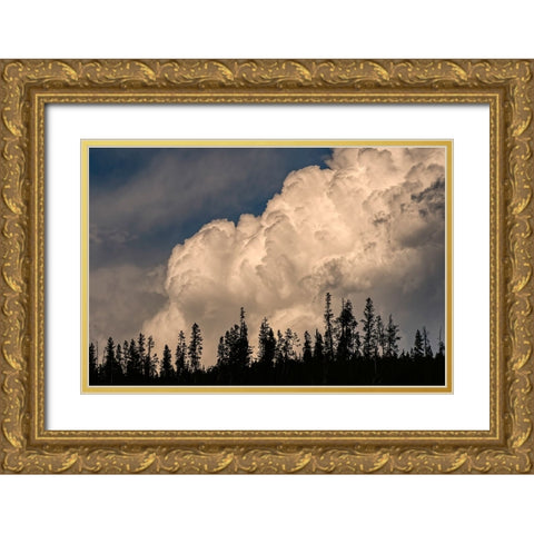 Trees silhouetted against cumulus cloud-Yellowstone National Park-Wyoming Gold Ornate Wood Framed Art Print with Double Matting by Jones, Adam