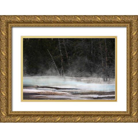 Colorful hot spring on top of Canary Spring-Mammoth Hot Springs-Yellowstone National Park-Wyoming Gold Ornate Wood Framed Art Print with Double Matting by Jones, Adam