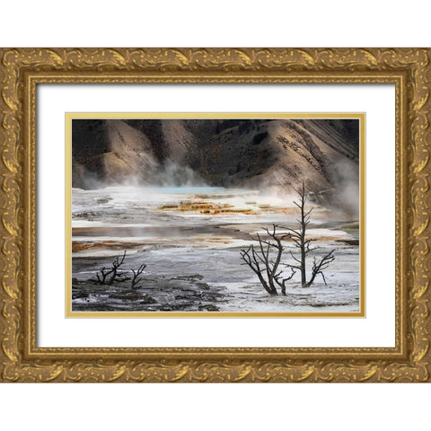 Black tree trunks and colorful hot spring terrace-Canary Spring-Mammoth Hot Springs Gold Ornate Wood Framed Art Print with Double Matting by Jones, Adam
