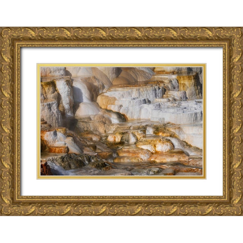 Colorful terrace-Canary Spring-Mammoth Hot Springs-Yellowstone National Park-Wyoming Gold Ornate Wood Framed Art Print with Double Matting by Jones, Adam