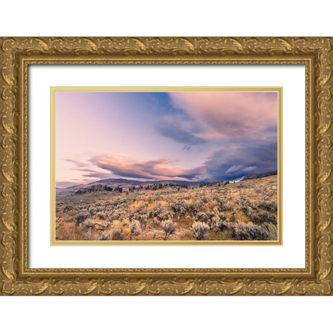 Mountain big sagebrush at sunrise-Lamar Valley-Yellowstone National Park-Wyoming Gold Ornate Wood Framed Art Print with Double Matting by Jones, Adam