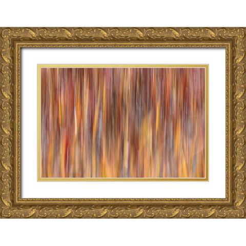 Motion effect on autumn vegetation-Yellowstone National Park-Wyoming Gold Ornate Wood Framed Art Print with Double Matting by Jones, Adam