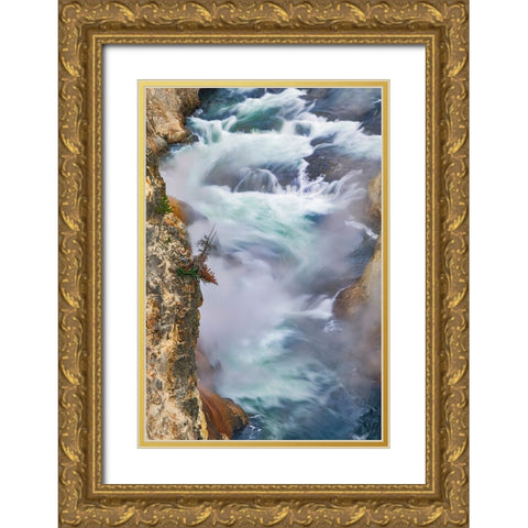 Yellowstone River at sunrise from Artist Point-Yellowstone National Park-Wyoming Gold Ornate Wood Framed Art Print with Double Matting by Jones, Adam
