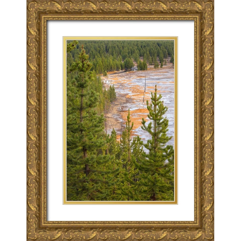 Elevated view of runoff water and bacterial mat-Grand Prismatic spring Gold Ornate Wood Framed Art Print with Double Matting by Jones, Adam