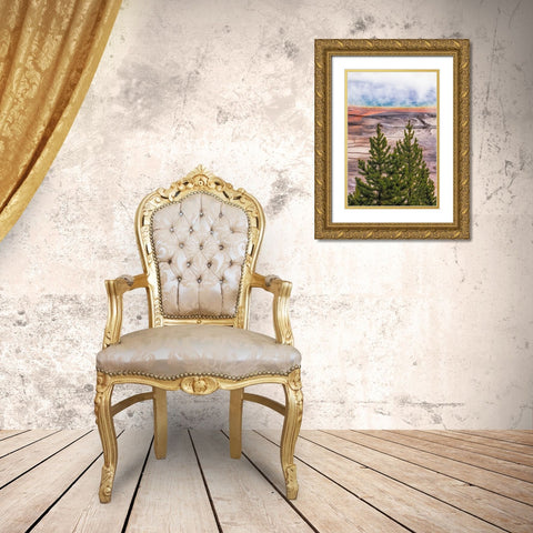 Elevated view of Grand Prismatic spring and colorful bacterial mat-Yellowstone National Park Gold Ornate Wood Framed Art Print with Double Matting by Jones, Adam
