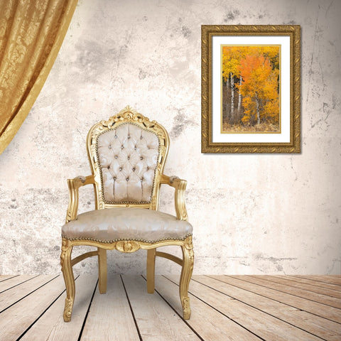 Autumn view of willows and aspen trees along shoreline of Two Ocean Lake-Grand Teton National Park Gold Ornate Wood Framed Art Print with Double Matting by Jones, Adam