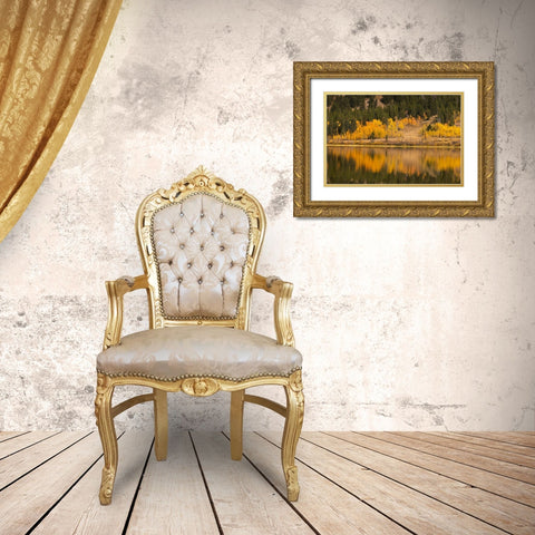 Autumn view of willows and aspen trees along shoreline of Two Ocean Lake-Grand Teton National Park Gold Ornate Wood Framed Art Print with Double Matting by Jones, Adam