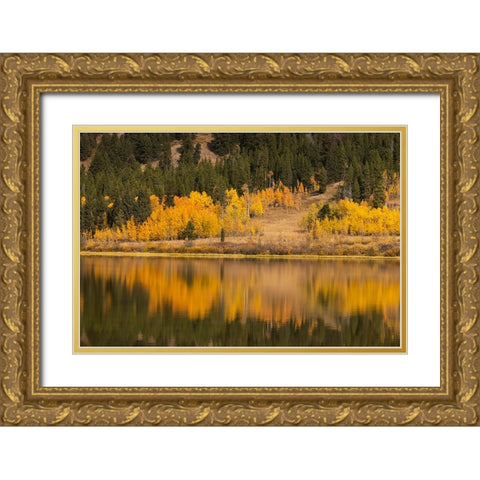 Autumn view of willows and aspen trees along shoreline of Two Ocean Lake-Grand Teton National Park Gold Ornate Wood Framed Art Print with Double Matting by Jones, Adam