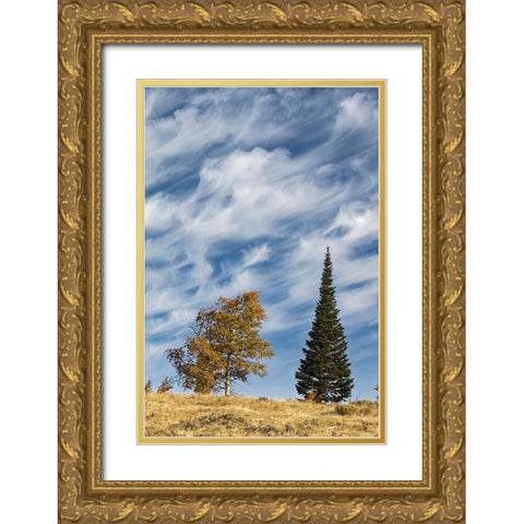 Two trees on ridge and cloud formation-Grand Teton National Park-Wyoming Gold Ornate Wood Framed Art Print with Double Matting by Jones, Adam