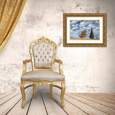 Two trees on ridge and cloud formation-Grand Teton National Park-Wyoming Gold Ornate Wood Framed Art Print with Double Matting by Jones, Adam