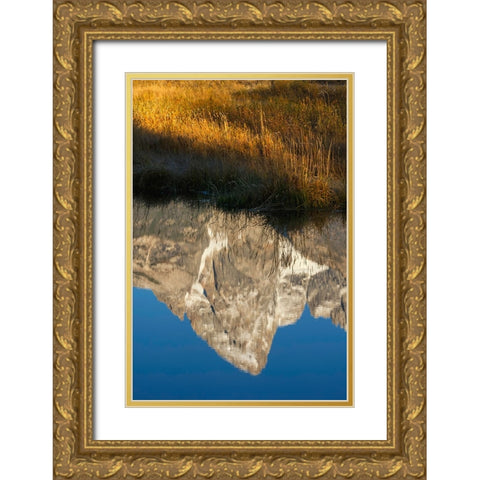 Teton Range reflected in Snake River from Schwabacher Landing-Grand Teton National Park-Wyoming Gold Ornate Wood Framed Art Print with Double Matting by Jones, Adam