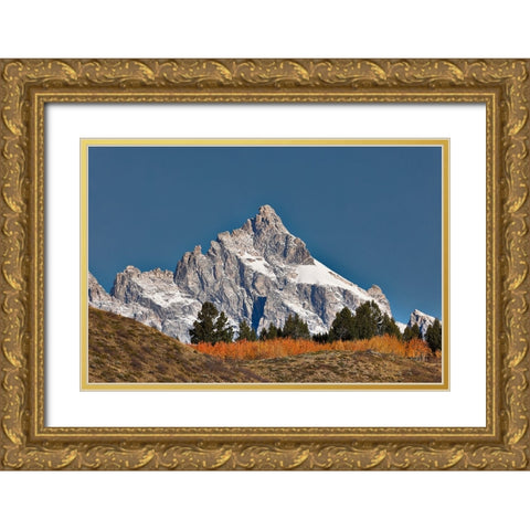 Aspen grove in front of Teton Range-Grand Teton National Park-Wyoming Gold Ornate Wood Framed Art Print with Double Matting by Jones, Adam