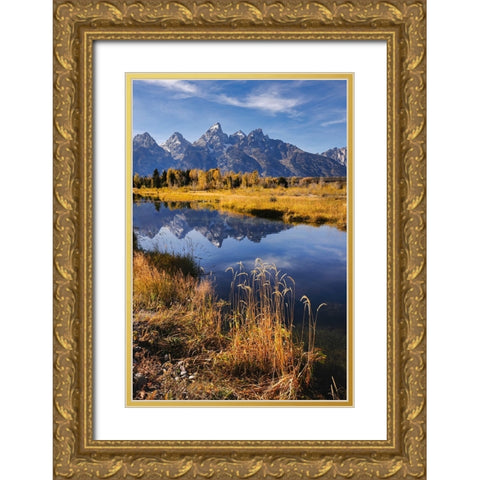 Teton Range from Schwabacher Landing-Grand Teton National Park-Wyoming Gold Ornate Wood Framed Art Print with Double Matting by Jones, Adam