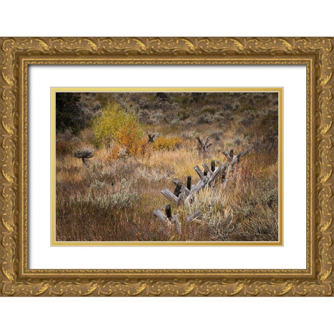 Rail fence in autumn-Grand Teton National Park-Wyoming Gold Ornate Wood Framed Art Print with Double Matting by Jones, Adam