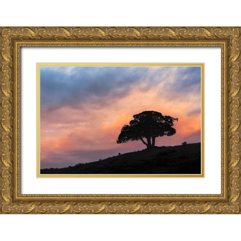 Single tree silhouetted at sunrise-Yellowstone National Park-Wyoming Gold Ornate Wood Framed Art Print with Double Matting by Jones, Adam