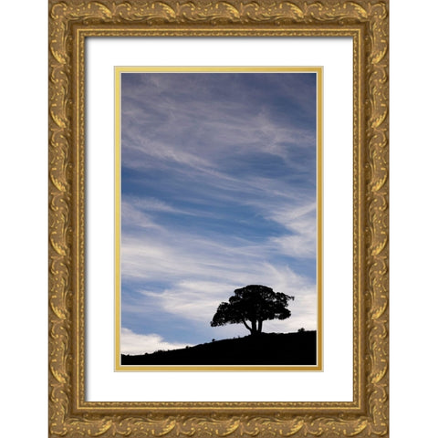 Single tree silhouetted at sunrise-Yellowstone National Park-Wyoming Gold Ornate Wood Framed Art Print with Double Matting by Jones, Adam