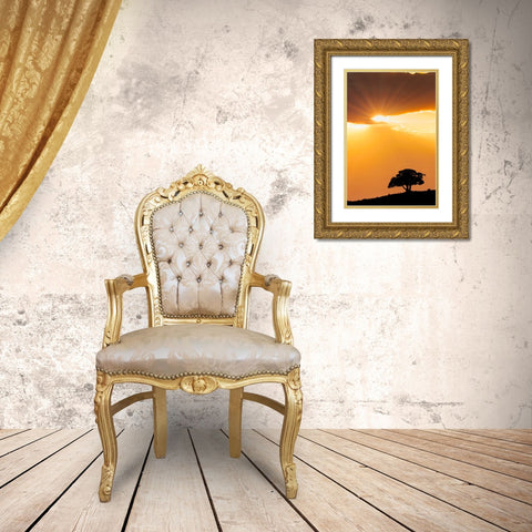 Single tree silhouetted at sunrise-Yellowstone National Park-Wyoming Gold Ornate Wood Framed Art Print with Double Matting by Jones, Adam