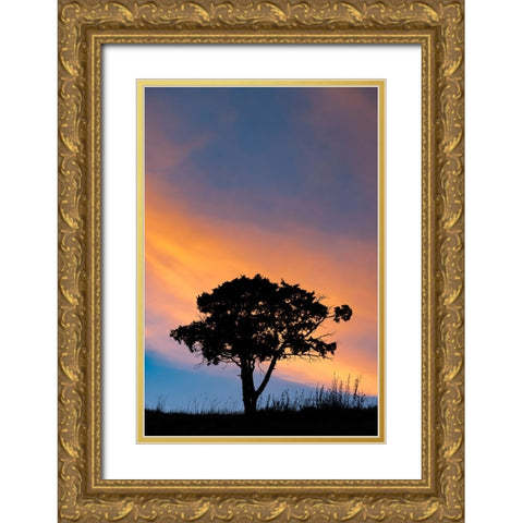 Single tree silhouetted at sunrise-Yellowstone National Park-Wyoming Gold Ornate Wood Framed Art Print with Double Matting by Jones, Adam