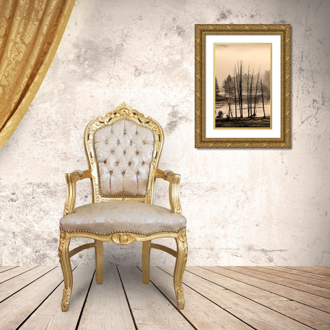 Dead trees near geothermal feature-Yellowstone National Park-Wyoming Gold Ornate Wood Framed Art Print with Double Matting by Jones, Adam