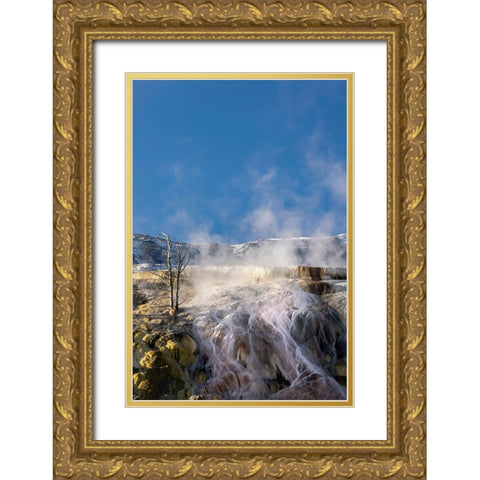 Colorful travertine slope with yellow and brown cyanobacteria-Mammoth Hot Springs Gold Ornate Wood Framed Art Print with Double Matting by Jones, Adam