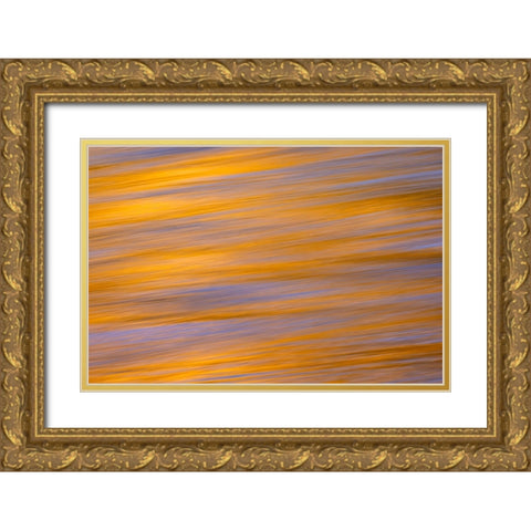 Sunset colors and trees reflecting on Snake River-Grand Teton National Park-Wyoming Gold Ornate Wood Framed Art Print with Double Matting by Jones, Adam