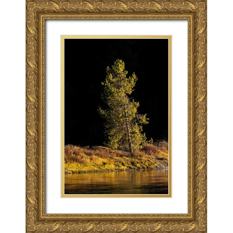 Tree on shoreline of Snake River at sunset-Grand Teton National Park-Wyoming Gold Ornate Wood Framed Art Print with Double Matting by Jones, Adam