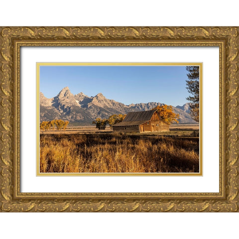 Moulton barn at sunrise and Teton Range-Grand Teton National Park-Wyoming Gold Ornate Wood Framed Art Print with Double Matting by Jones, Adam