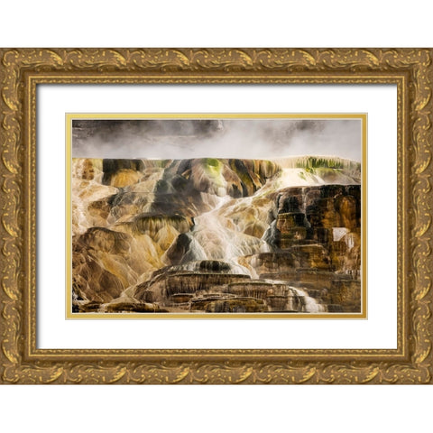 Colorful travertine slope with yellow and brown cyanobacteria-Mammoth Hot Springs Gold Ornate Wood Framed Art Print with Double Matting by Jones, Adam