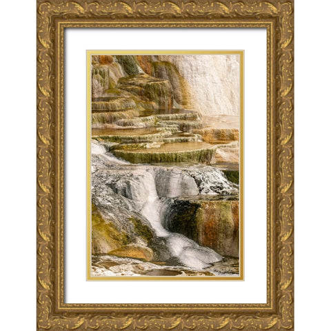 Canary Spring terraces at sunrise-Mammoth Hot Springs-Yellowstone National Park-Wyoming Gold Ornate Wood Framed Art Print with Double Matting by Jones, Adam