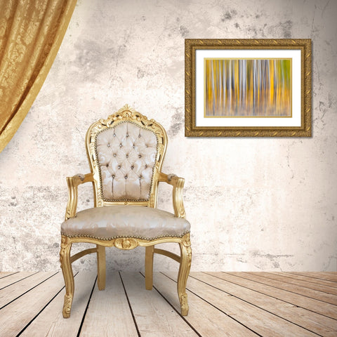 Abstract motion blur on grove of aspen trees-Grand Teton National Park-Wyoming Gold Ornate Wood Framed Art Print with Double Matting by Jones, Adam
