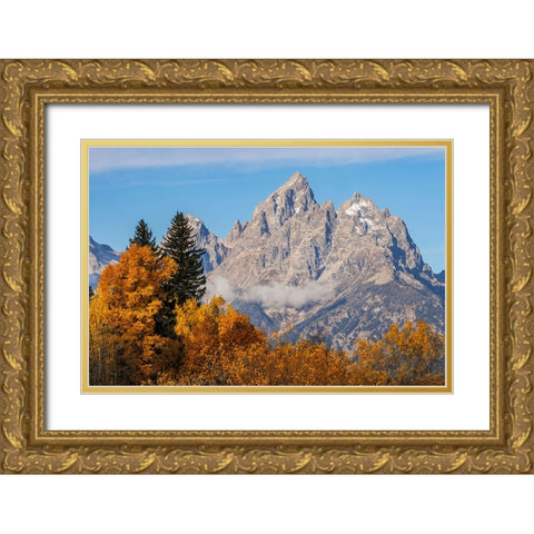 Golden aspen trees and Cathedral Group-Grand Teton National Park-Wyoming Gold Ornate Wood Framed Art Print with Double Matting by Jones, Adam