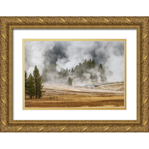 Grasses and mist in autumn meadow-Upper Geyser Basin-Yellowstone National Park-Wyoming Gold Ornate Wood Framed Art Print with Double Matting by Jones, Adam