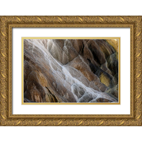 Colorful travertine slope with yellow and brown cyanobacteria-Mammoth Hot Springs Gold Ornate Wood Framed Art Print with Double Matting by Jones, Adam