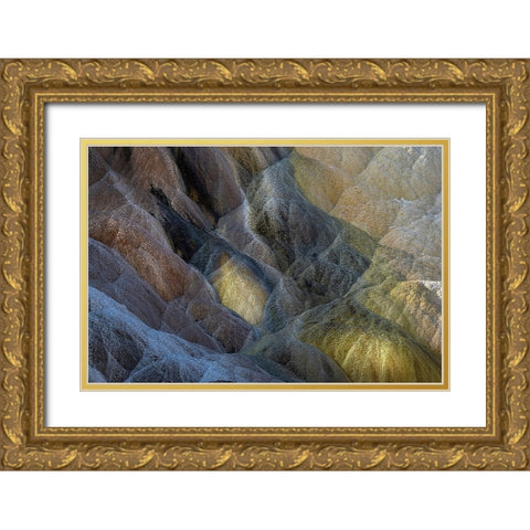 Colorful travertine slope with yellow and brown cyanobacteria-Mammoth Hot Springs Gold Ornate Wood Framed Art Print with Double Matting by Jones, Adam