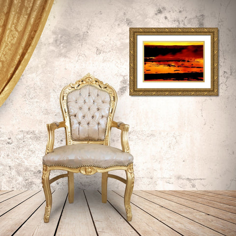 WY, Yellowstone Vapor flows from Grand Geyser Gold Ornate Wood Framed Art Print with Double Matting by Ross, Nancy ,  Steve